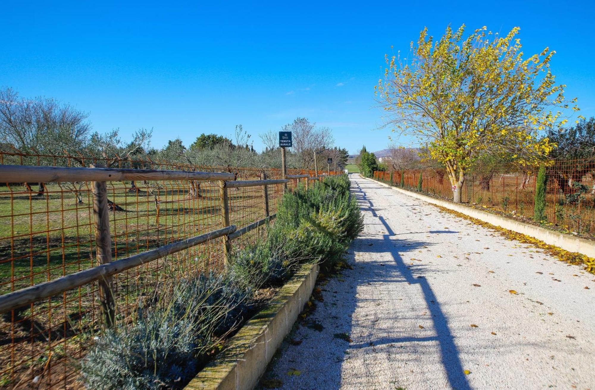 Tenuta Rurale Luxury&Nature Gravina in Puglia Zewnętrze zdjęcie